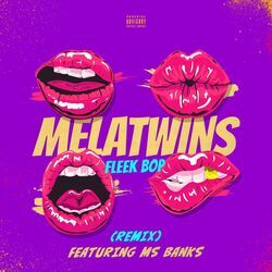 Cover of Fleek Bop (Remix)