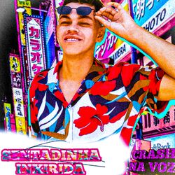 Cover of Sentadinha Inxirida