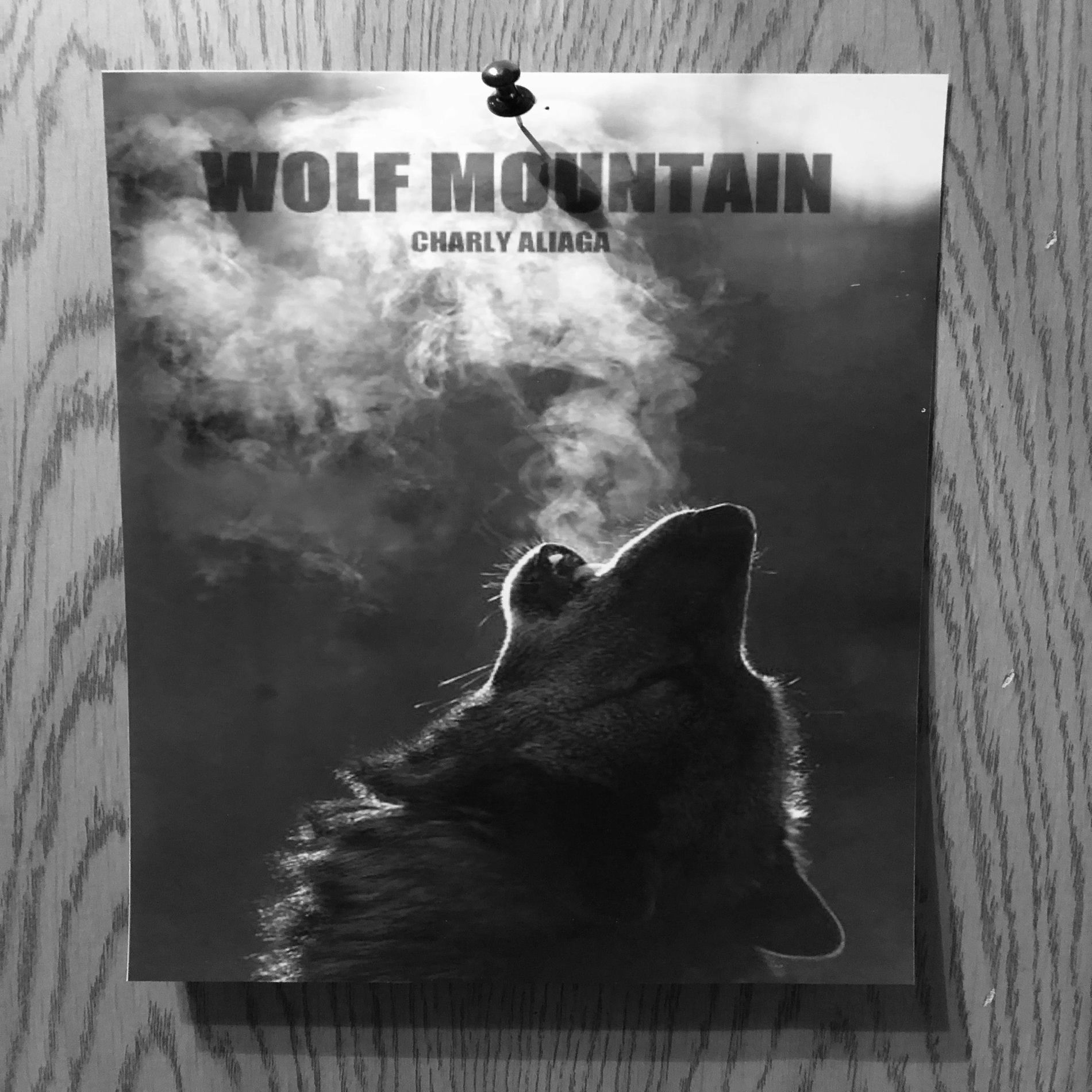 Album cover of Wolf Mountain