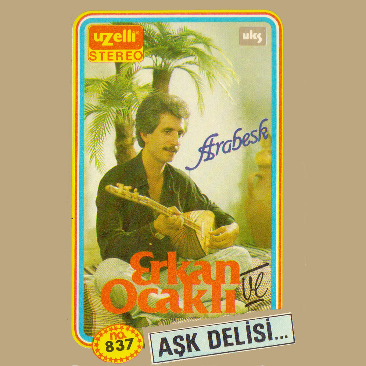 Album cover of Aşk Delisi