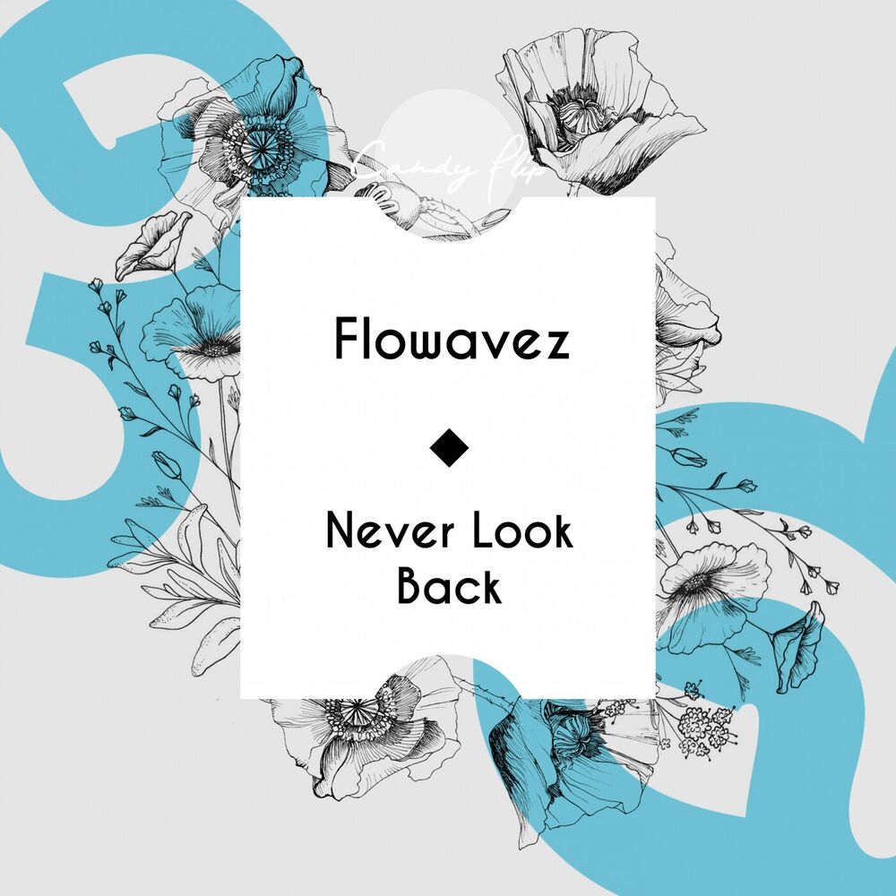 Picture of Never Look Back