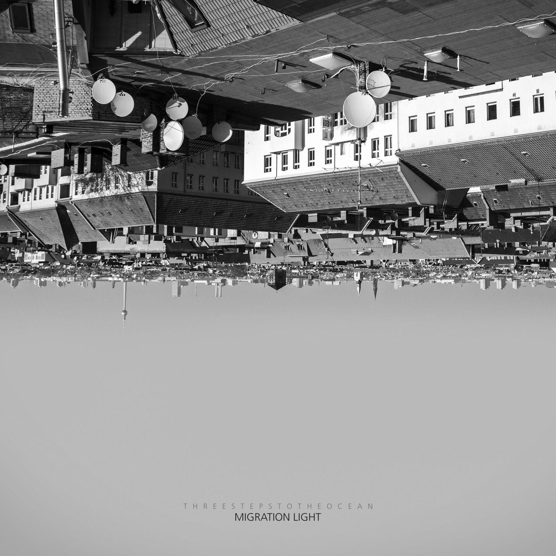 Album cover of Migration Light