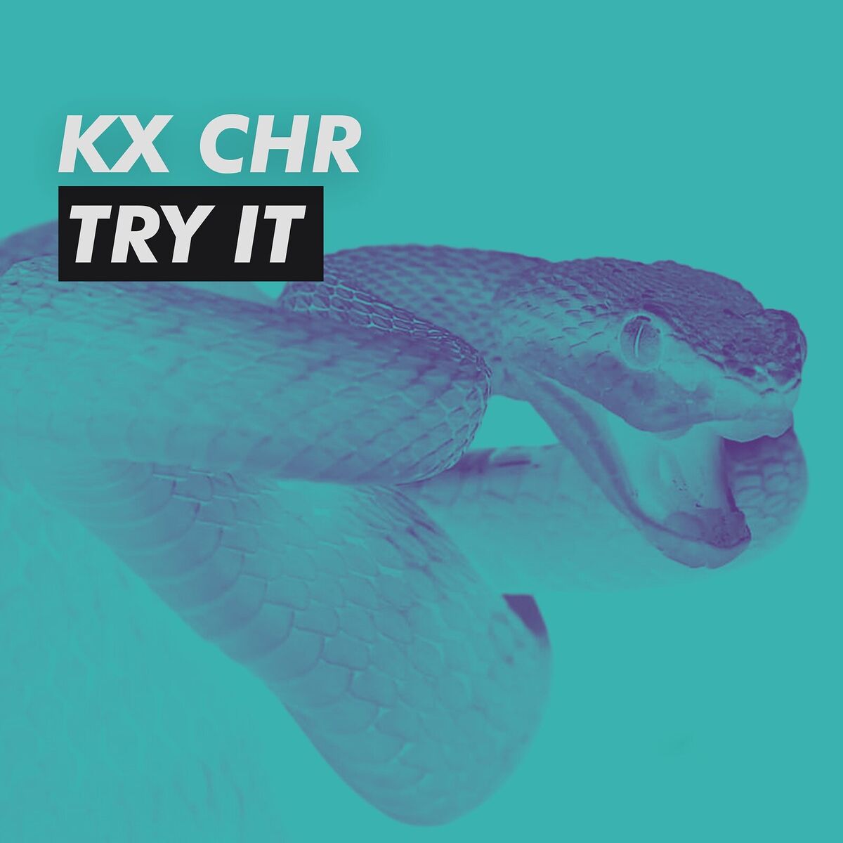 Album cover of Try It