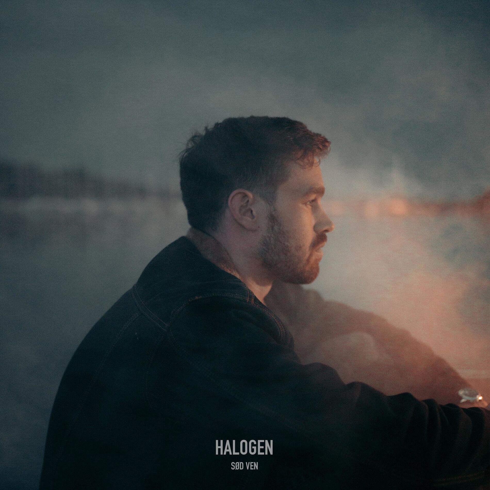 Album cover of halogen