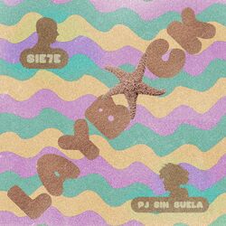 Cover of Layback