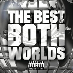Cover of The Best Of Both Worlds