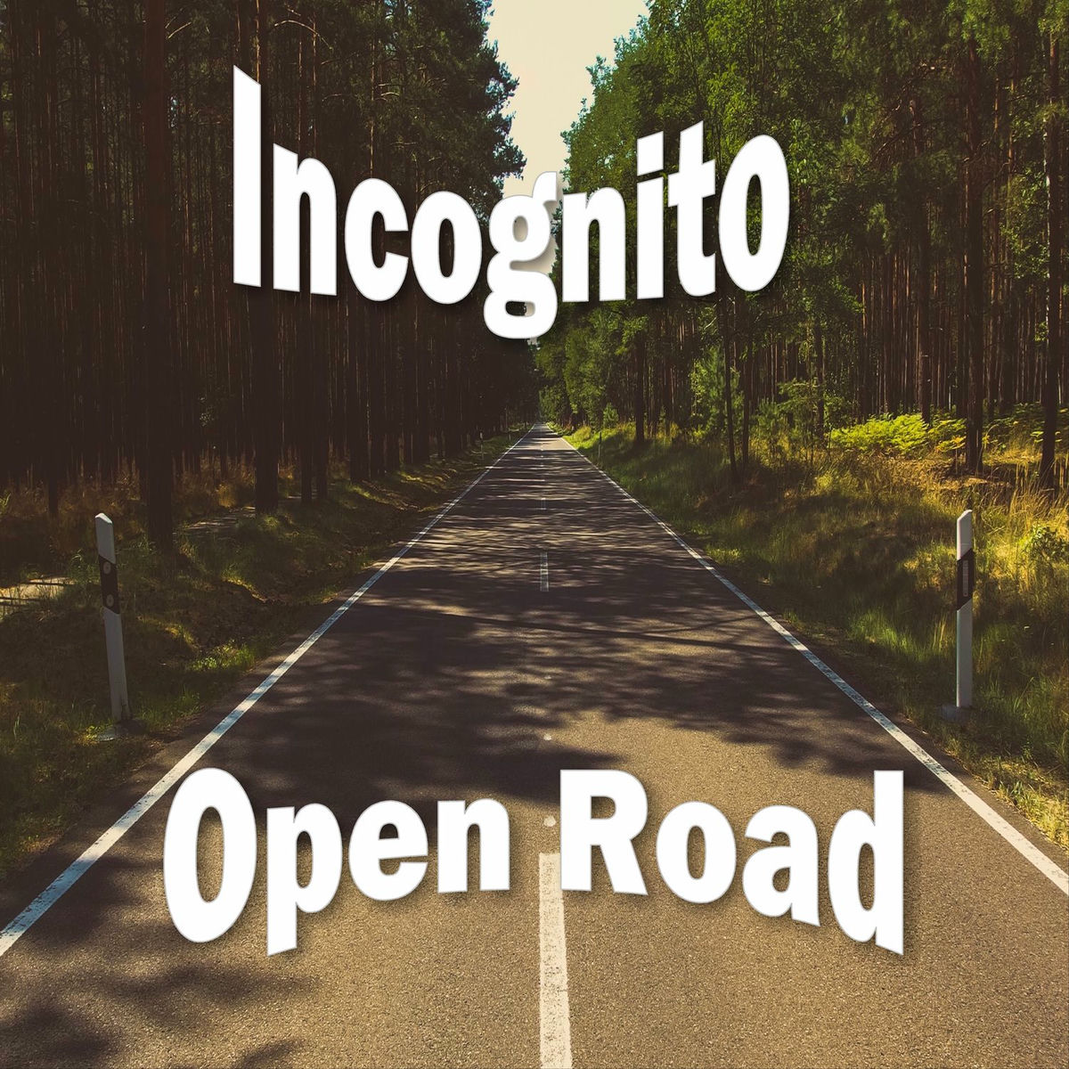Album cover of Open Road