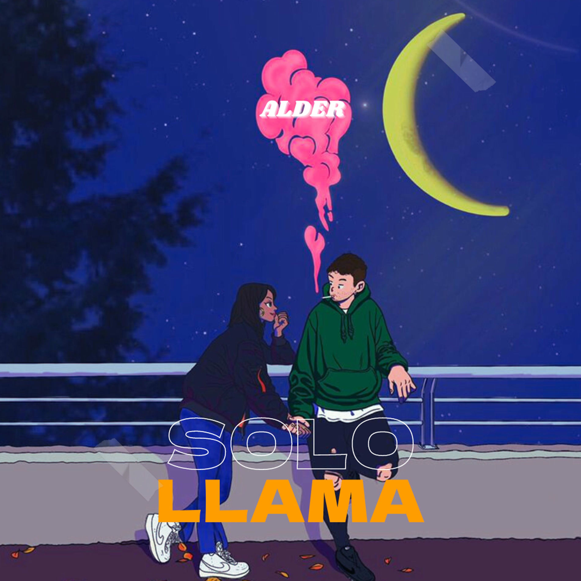 Album cover of Solo Llama