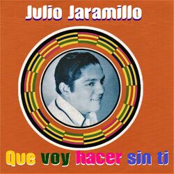 Cover of Que Voy Hacer Sin Ti