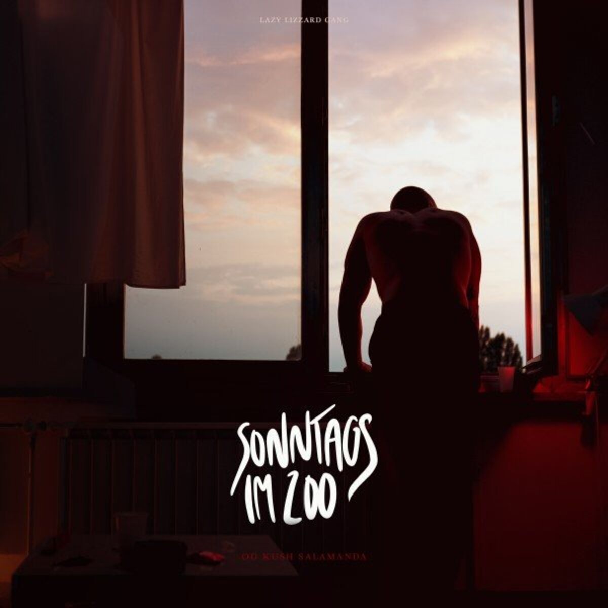 Album cover of Sonntags Im Zoo