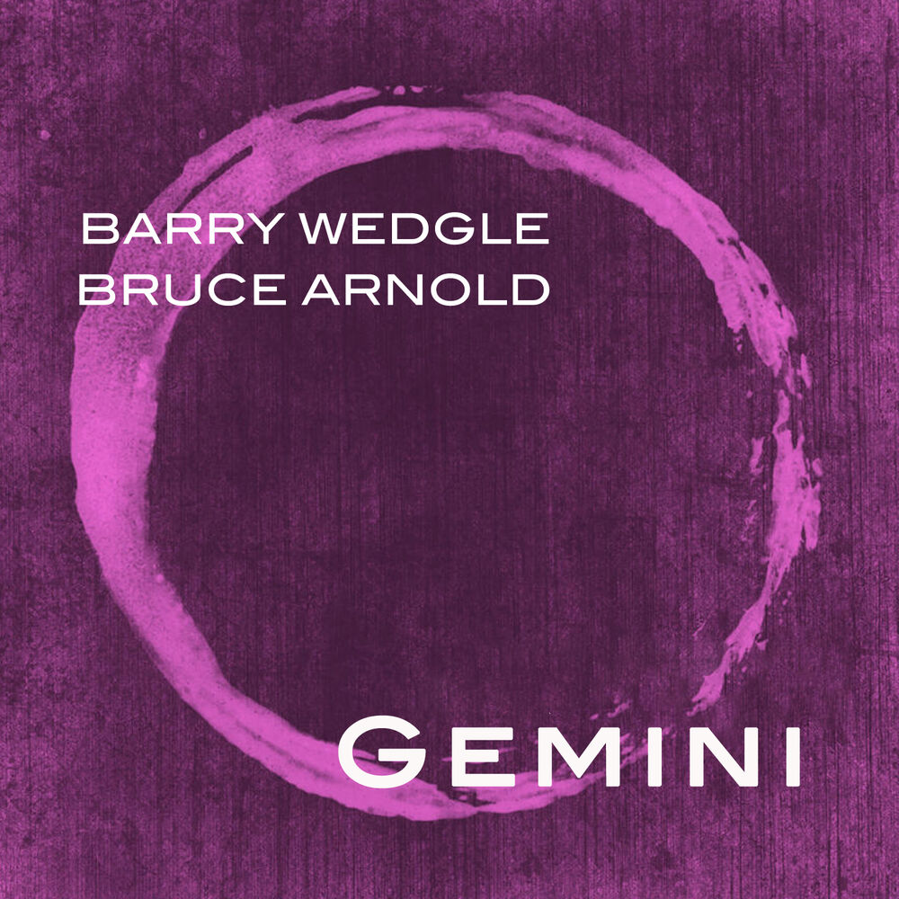 Picture of Gemini