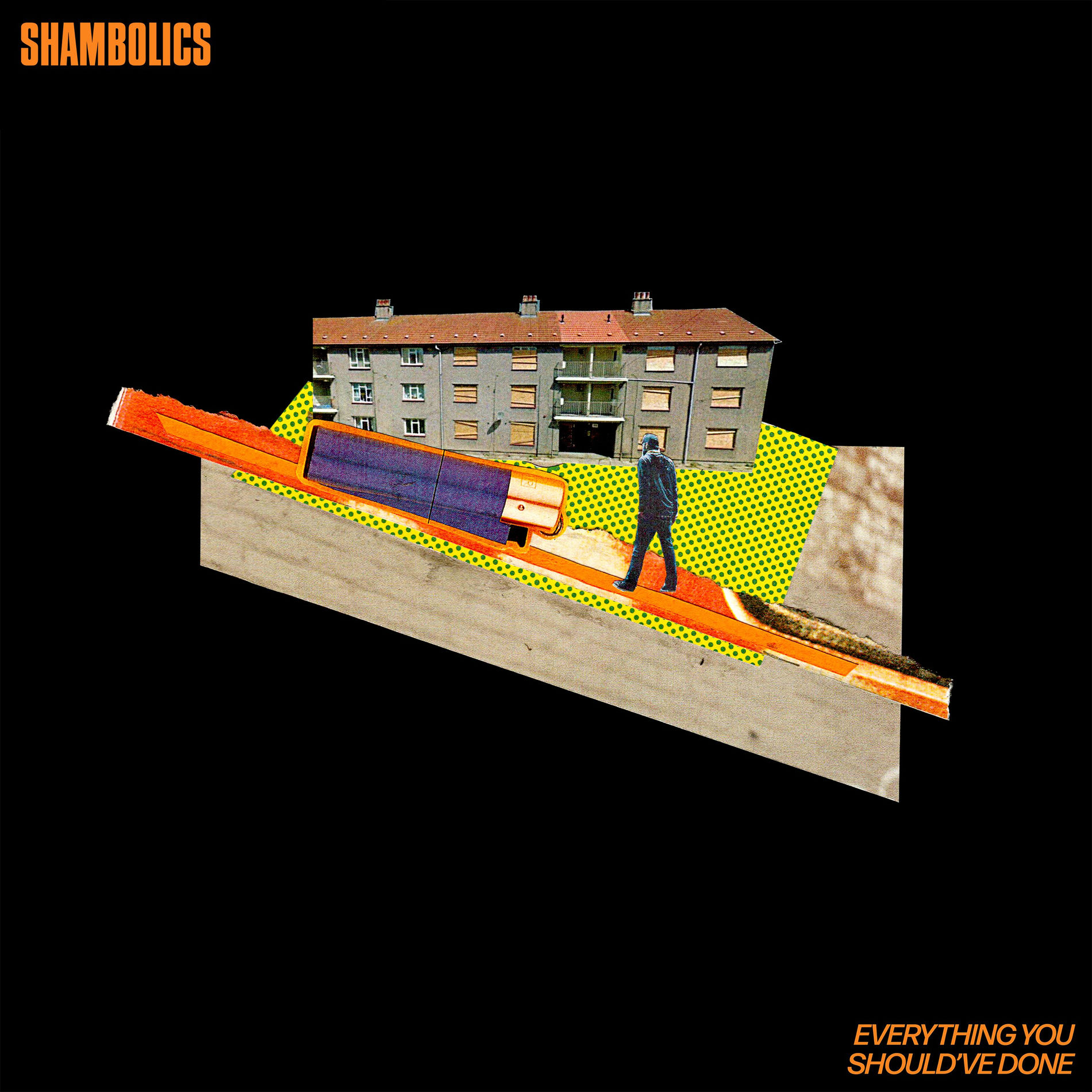 Album cover of Everything You Should've Done