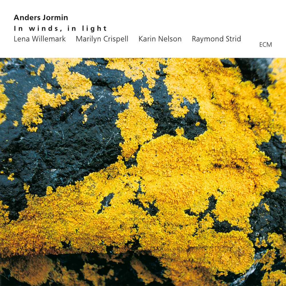 Picture of In Winds, In Light