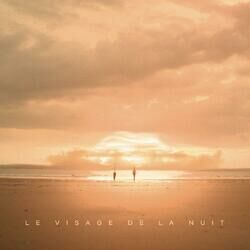 Cover of Le visage de la nuit
