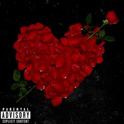Cover of Feels