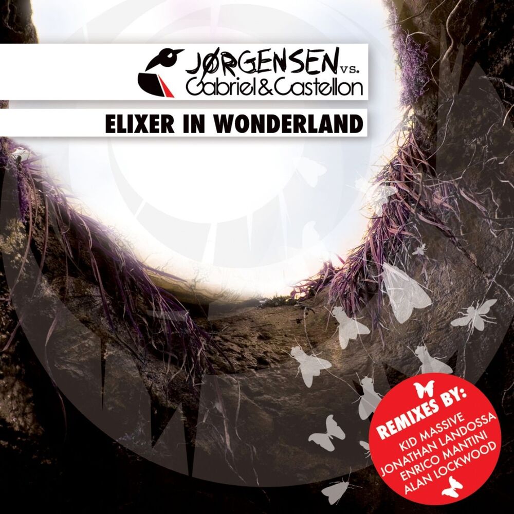 Picture of Elixer In Wonderland