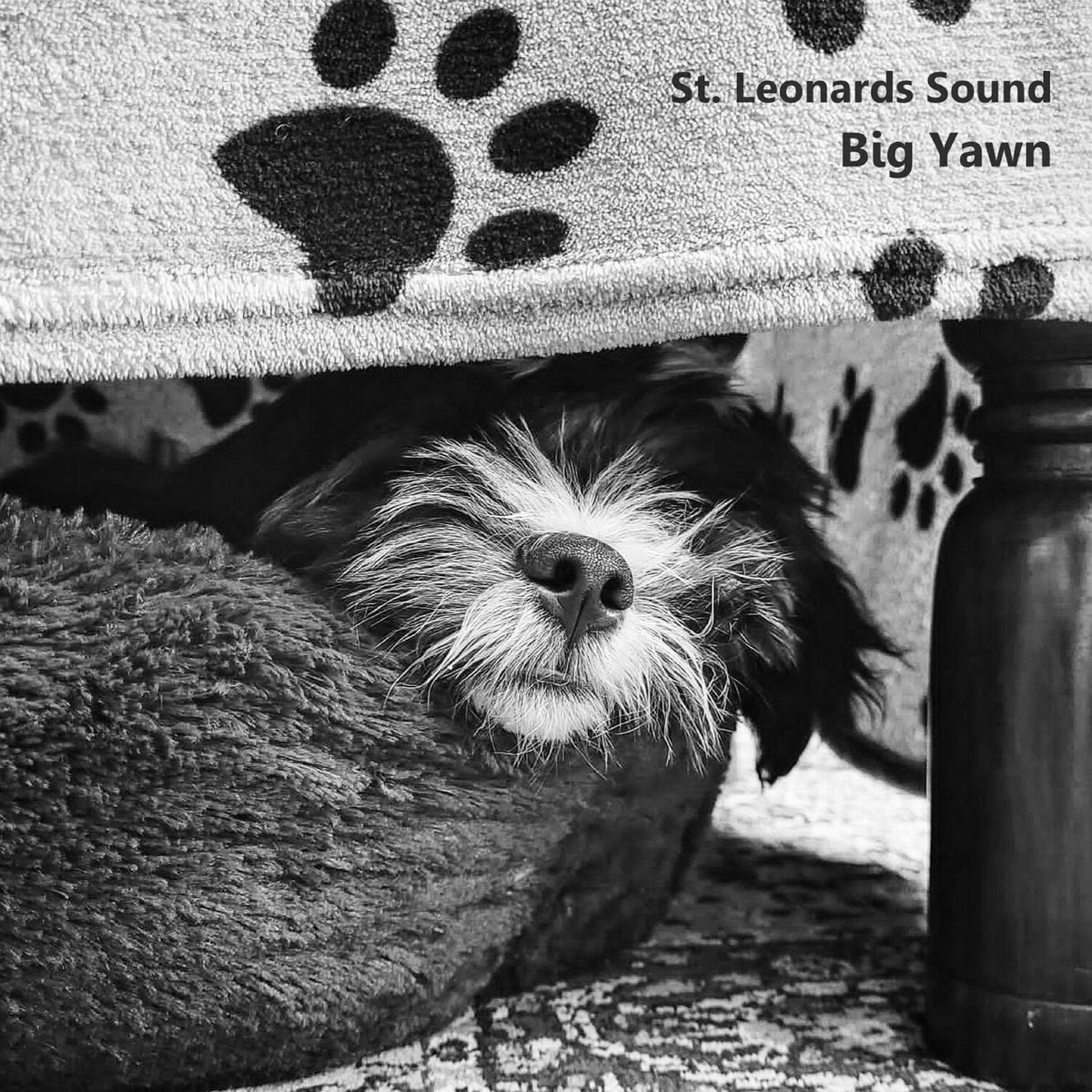 Album cover of Big Yawn