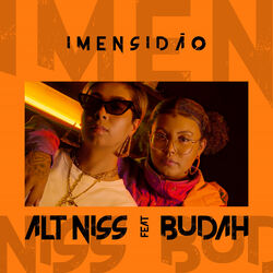 Cover of Imensidão