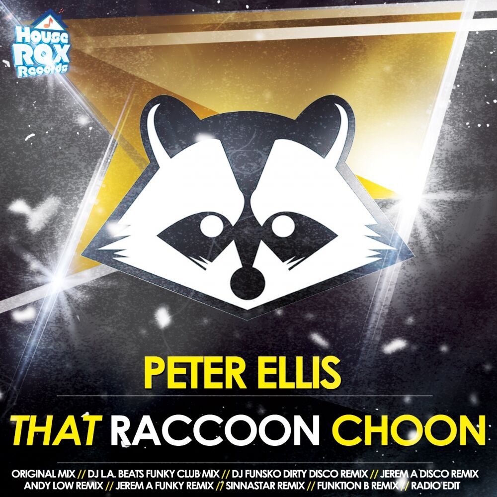 Picture of That Raccoon Choon