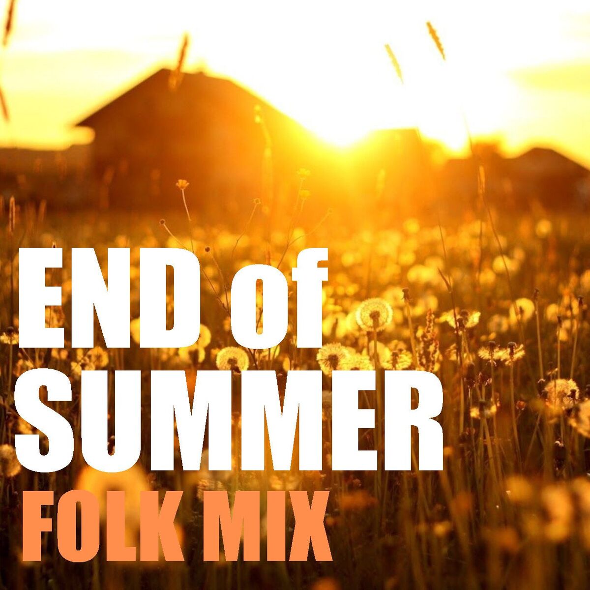 Album cover of End Of Summer Folk Mix
