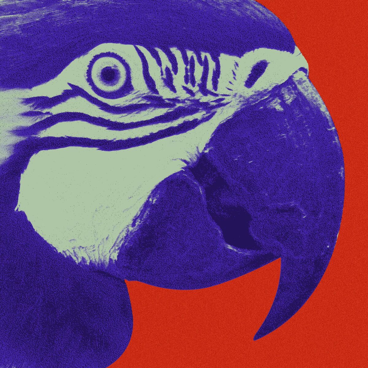 Album cover of Balin Bali