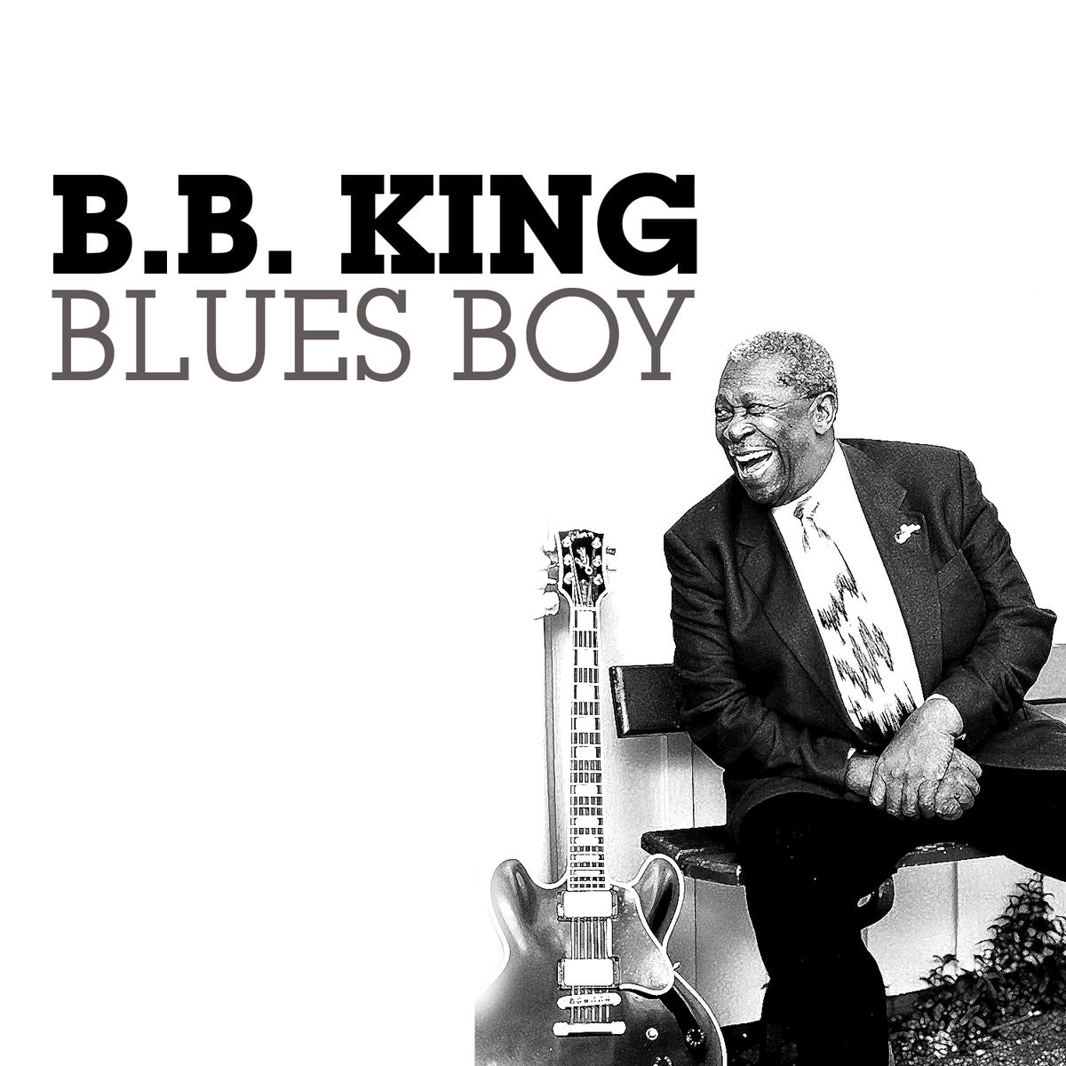 Album cover of Blues Boy