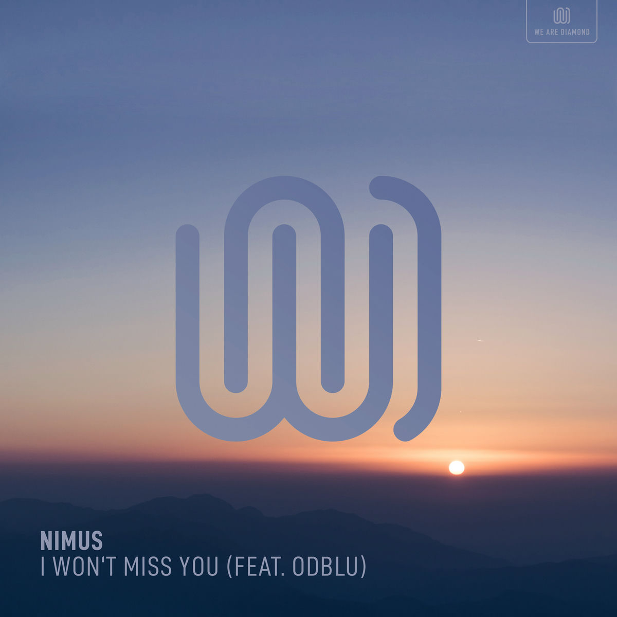 Album cover of I Won't Miss You