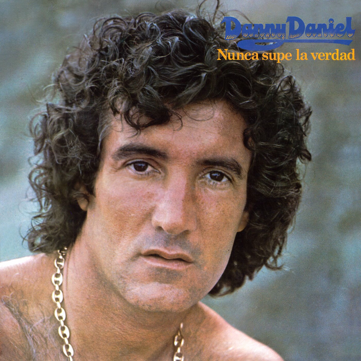 Album cover of Nunca Supe La Verdad
