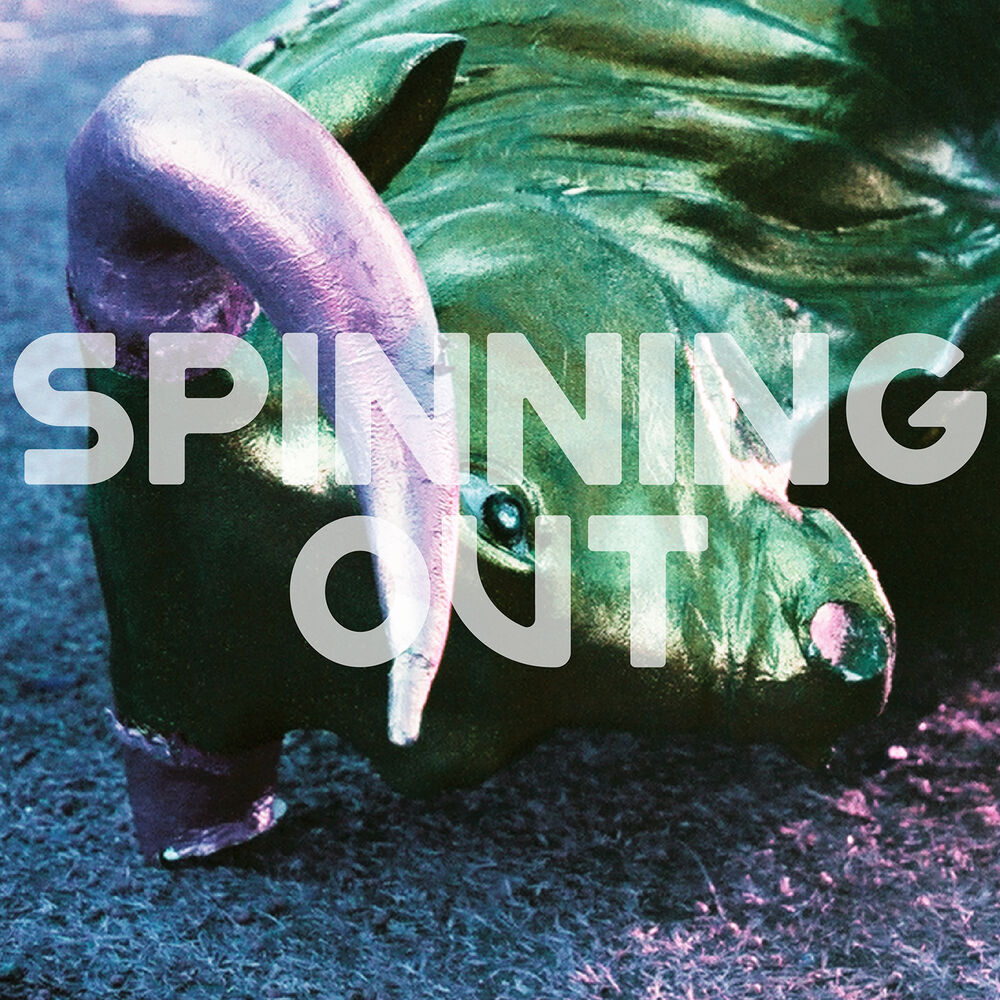 Picture of Spinning Out