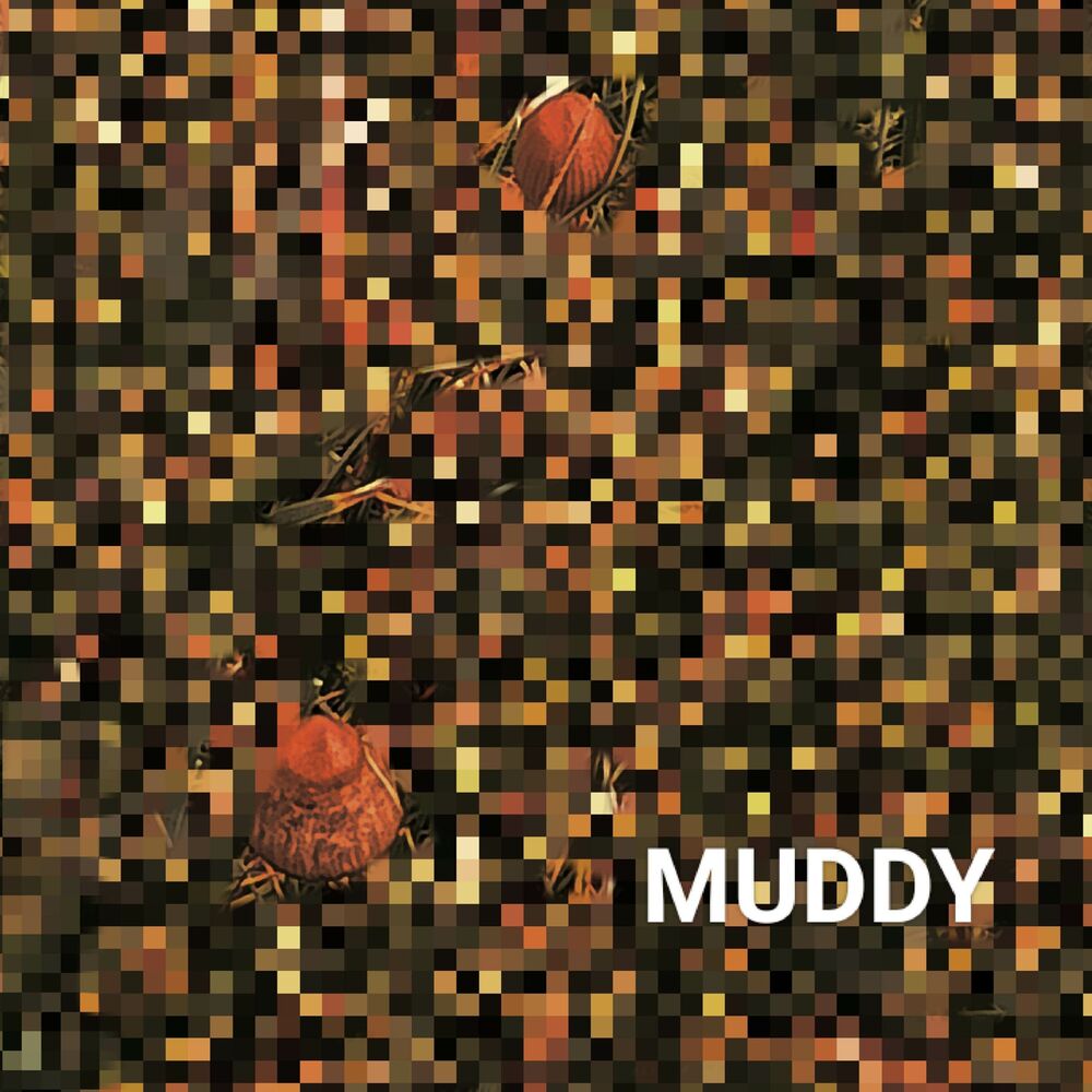 Picture of muddy