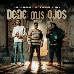 Cover of Desde Mis Ojos (Remix)