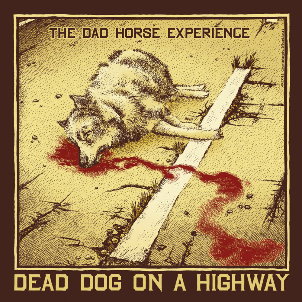 Picture of Dead Dog On A Highway
