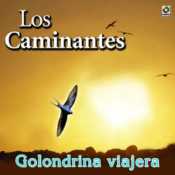 Cover of Golondrina Viajera