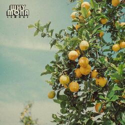 Cover of lemons
