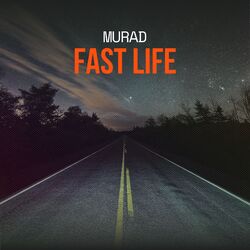 Cover of Fast Life