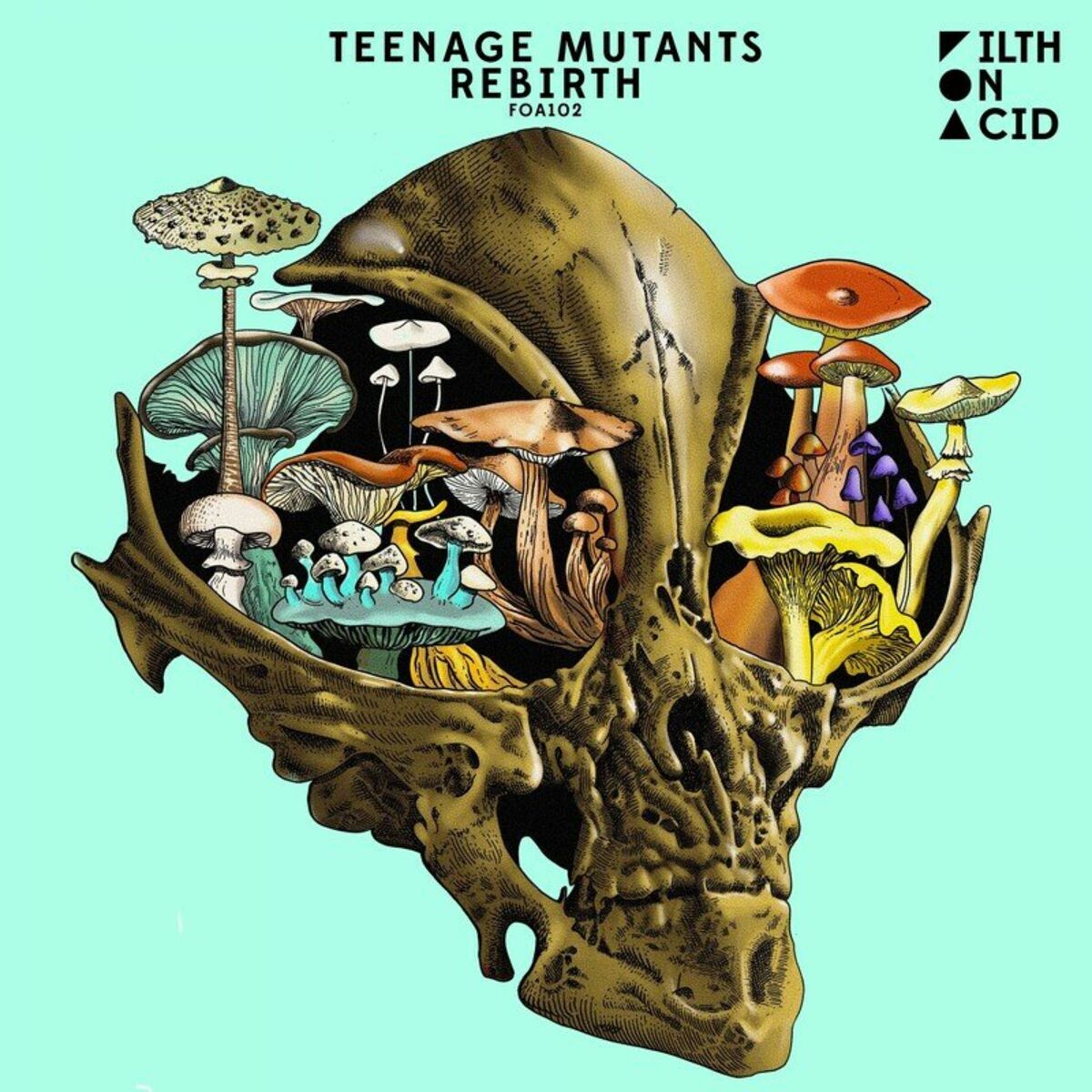 Album cover of Rebirth