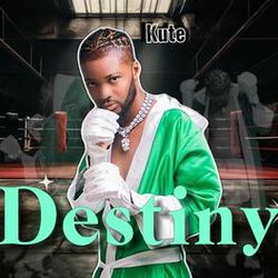 Cover of Destiny