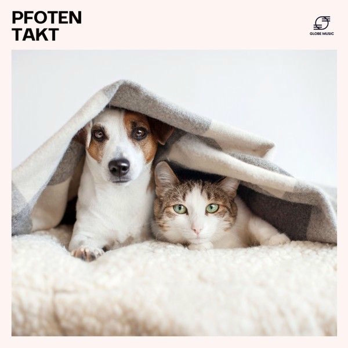 Album cover of Pfotentakt