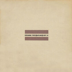 Cover of Asylum
