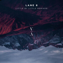 Cover of Little by Little Remixed