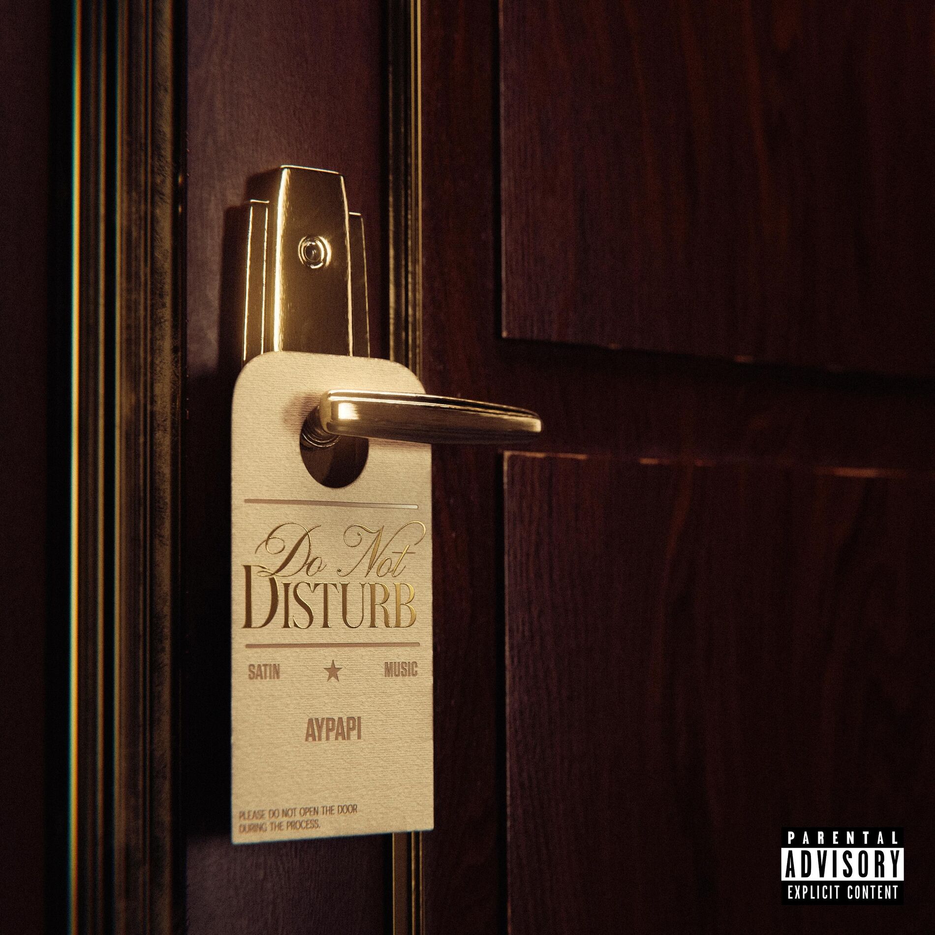 Album cover of DND