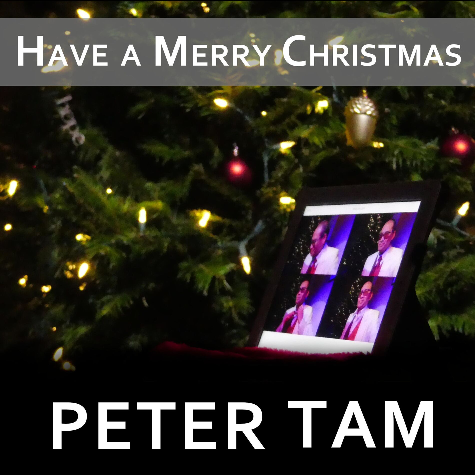Album cover of HAVE A MERRY CHRISTMAS