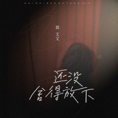 还没舍得放下