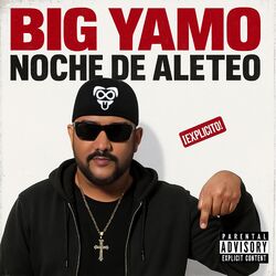 Cover of Noche de Aleteo
