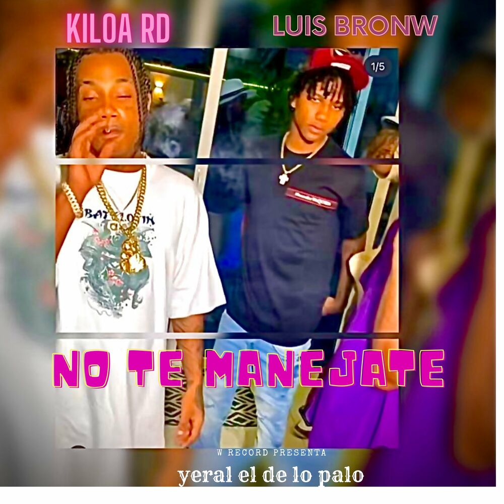 Picture of No Te Manejaste