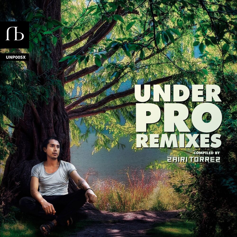 Picture of Under Pro Remixes, Vol. 1
