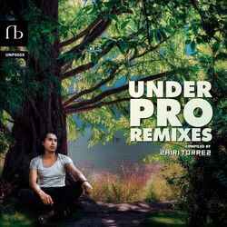 Cover of Under Pro Remixes, Vol. 1