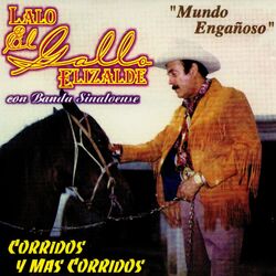 Cover of Mundo Enganoso