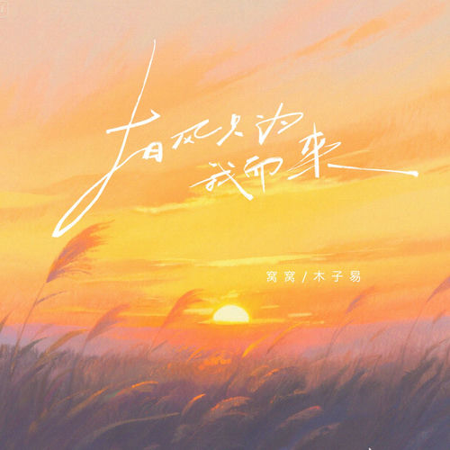 有风只为我而来 (DJ豪大大版)