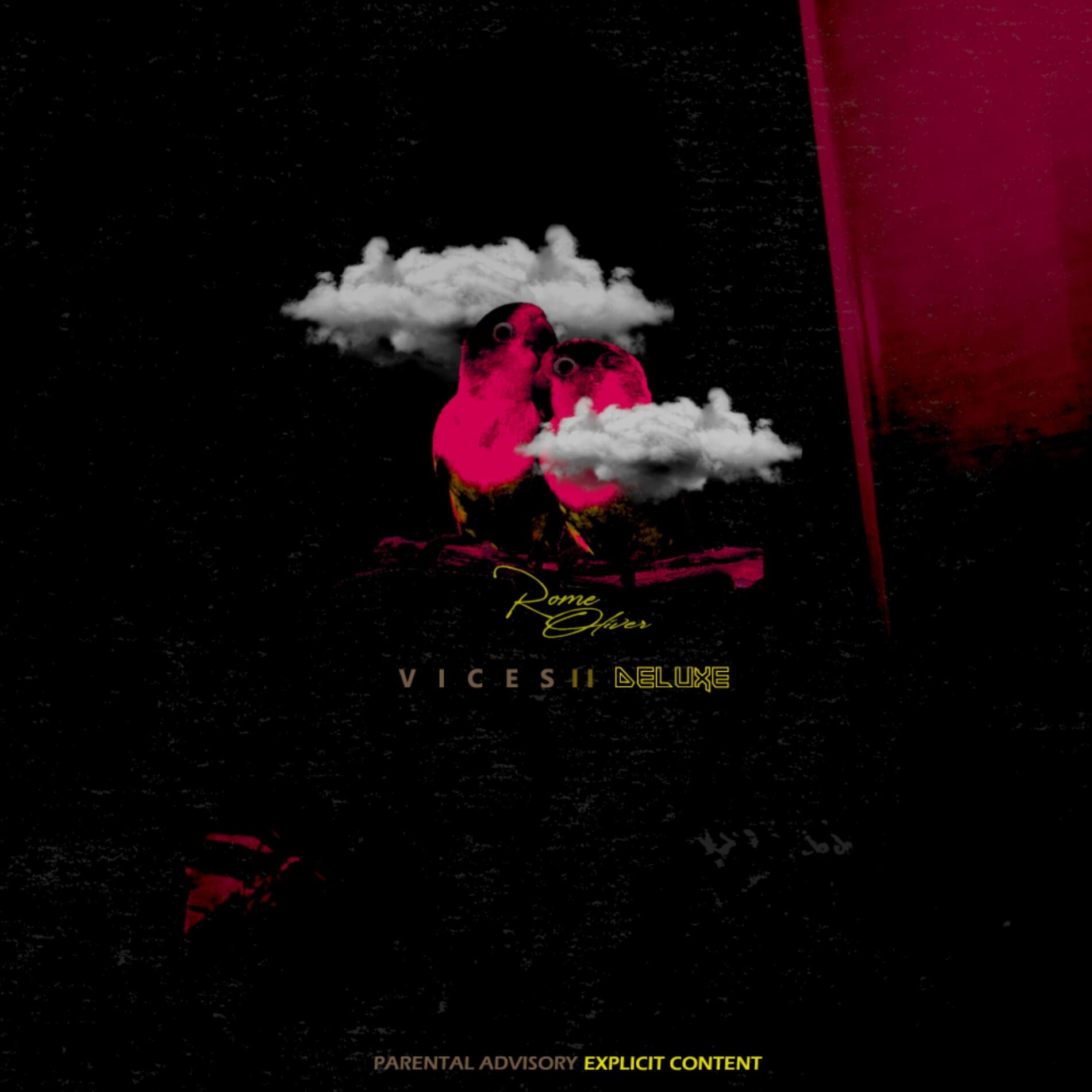 Album cover of Vices 2 Deluxe